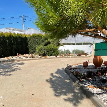 Quinta Dos Sapos Venkovský dům Silves