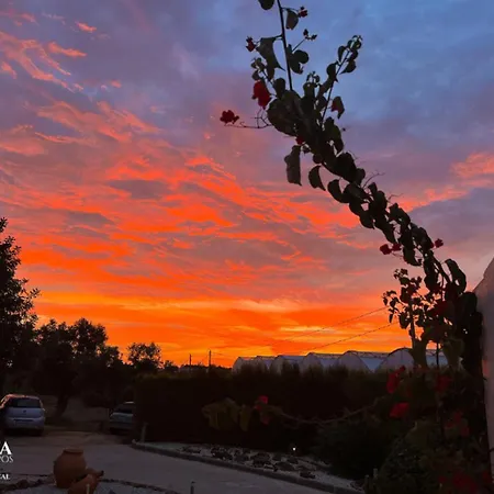 בית כפרי Quinta Dos Sapos סילבס